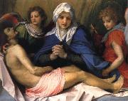 Andrea del Sarto Lamentation of Christ oil painting artist